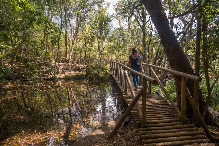 Cape Town: Kirstenbosch Botanical Garden Entry Ticket - Why Kirstenbosch Deserves a Place in Your Cape Town Plans