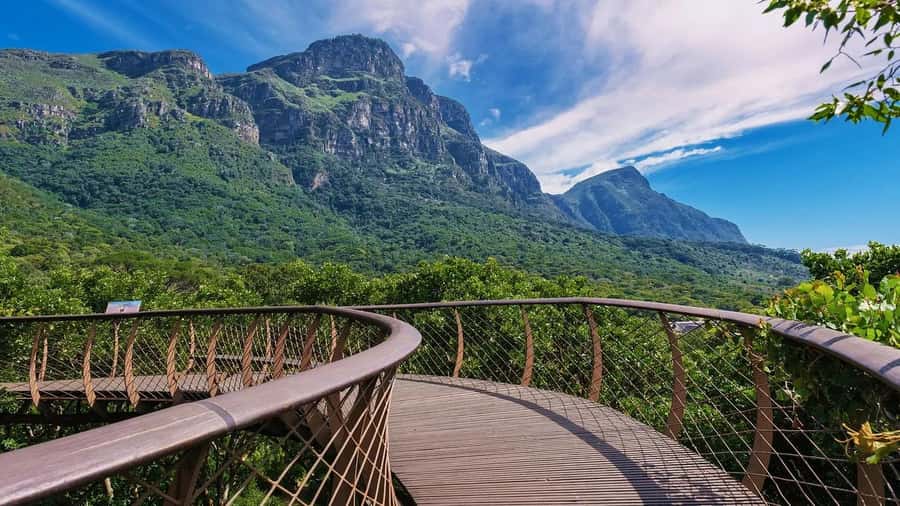 Cape Town: Kirstenbosch Botanical Garden Entry Ticket - Conservation Gives the Visit More Meaning