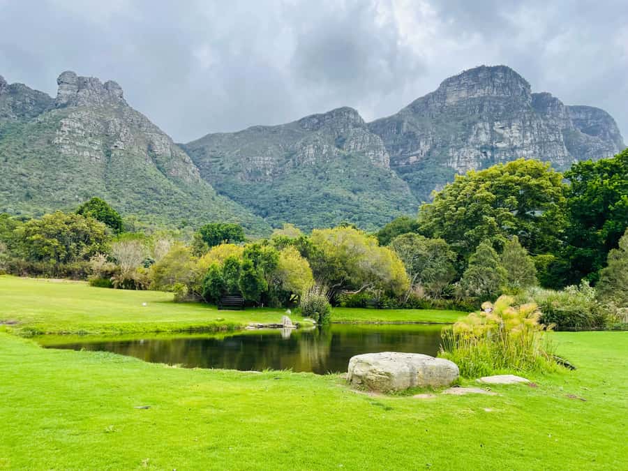Cape Town: Kirstenbosch Botanical Garden Entry Ticket - Who Will Enjoy Kirstenbosch Most?