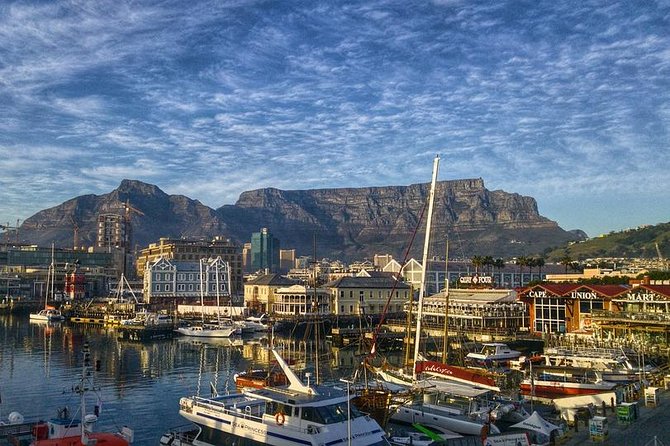 Cape Town Like a Local: Customized Private Tour - Starting near The Cape Wheel and the waterfront