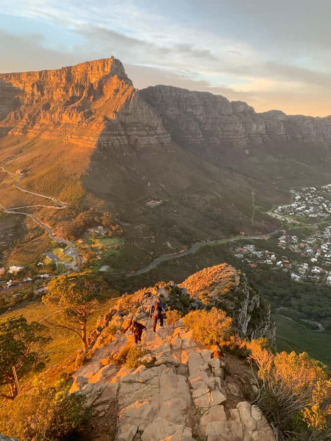 Cape Town: Lion's Head Guided Sunrise/Sunset Hike - Fynbos, dassies, and mountain folklore
