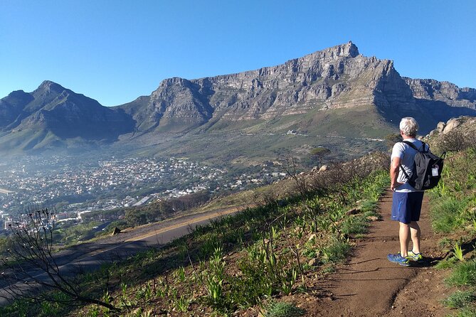 Cape Town: Lion's Head Hike - Reaching 669 meters for the view