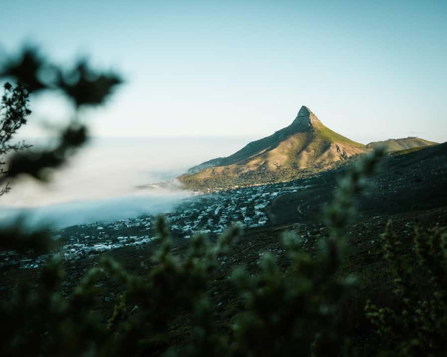 Cape Town: Lion's Head Hiking Experience - The first 90 minutes: jeep track, views, and local stories