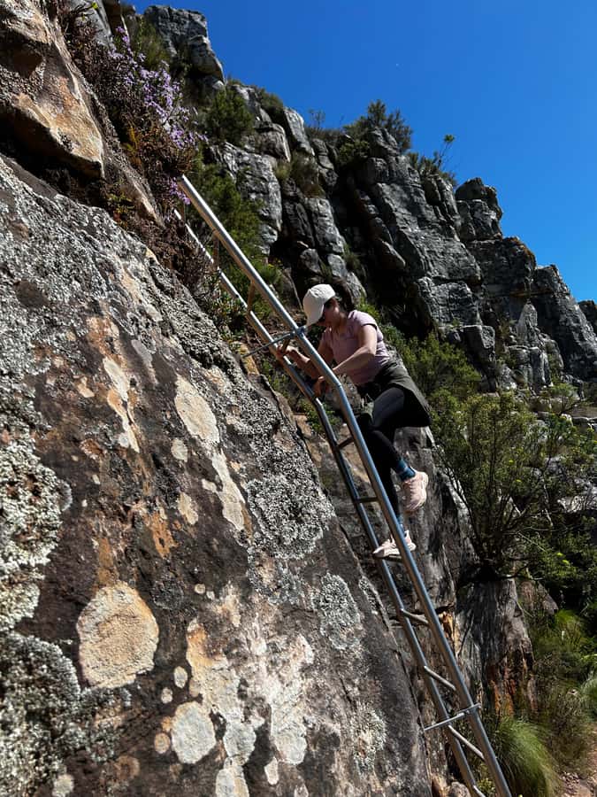 Cape Town: Lion's Head Summit Hike - Private - The summit views: Table Mountain, the city, and the coast