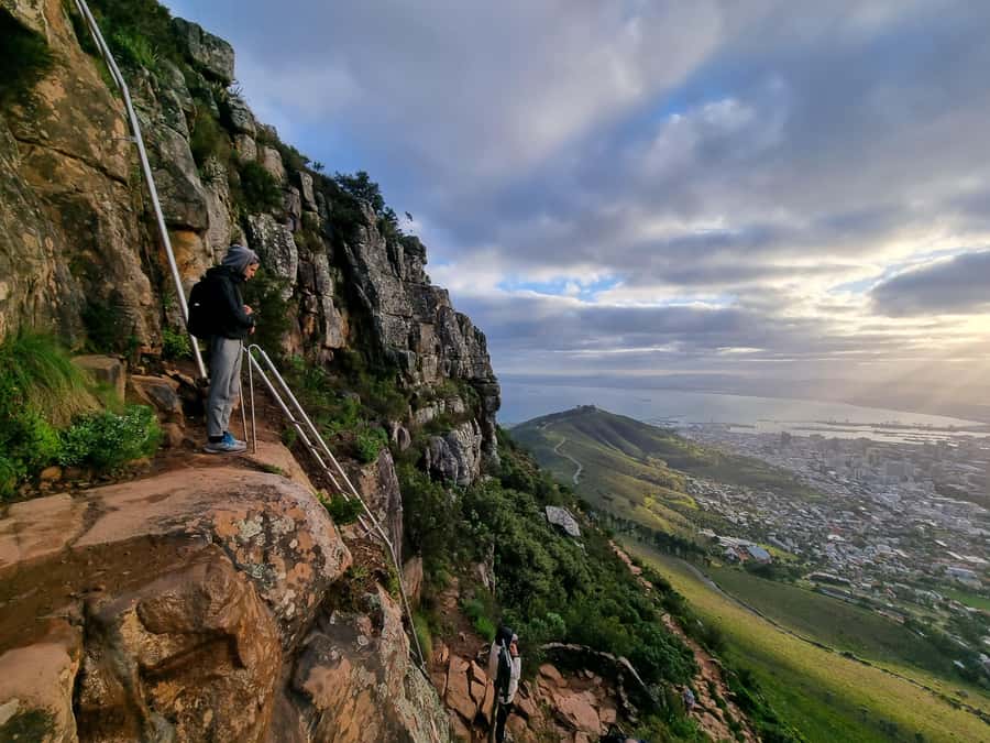 Cape Town: Lion's Head Sunrise or Sunset Guided Hike - Local plants, animals, and Cape Town stories