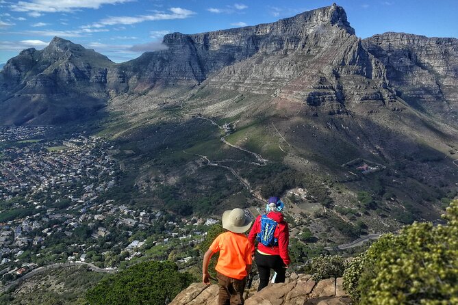 Cape Town: Lion's Head Sunrise/Sunset Hike - The final climb, rocks, ladders, and exposure
