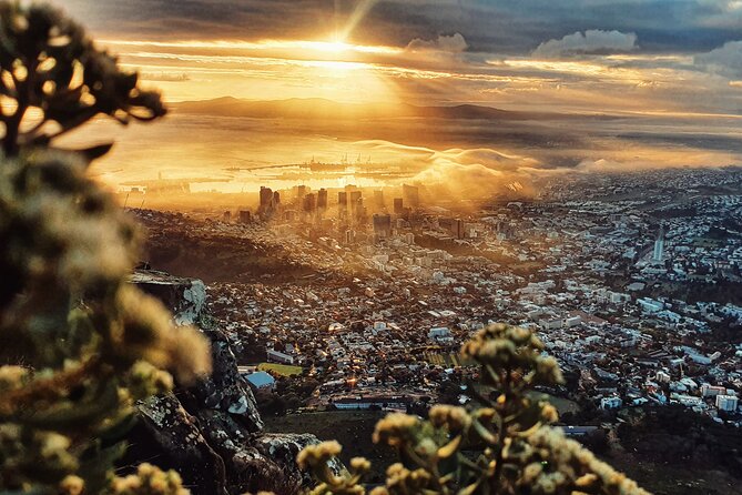 Cape Town: Lion's Head Sunrise/Sunset Hike - How much value do you get for $65?