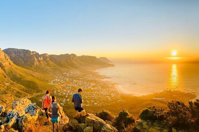 Cape Town: Lion's Head Sunset Hike - Reaching the summit for the city views