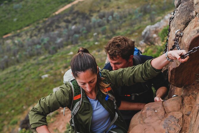 Cape Town: Magical Lion's Head Hike - Flora, wildlife, and views along the trail