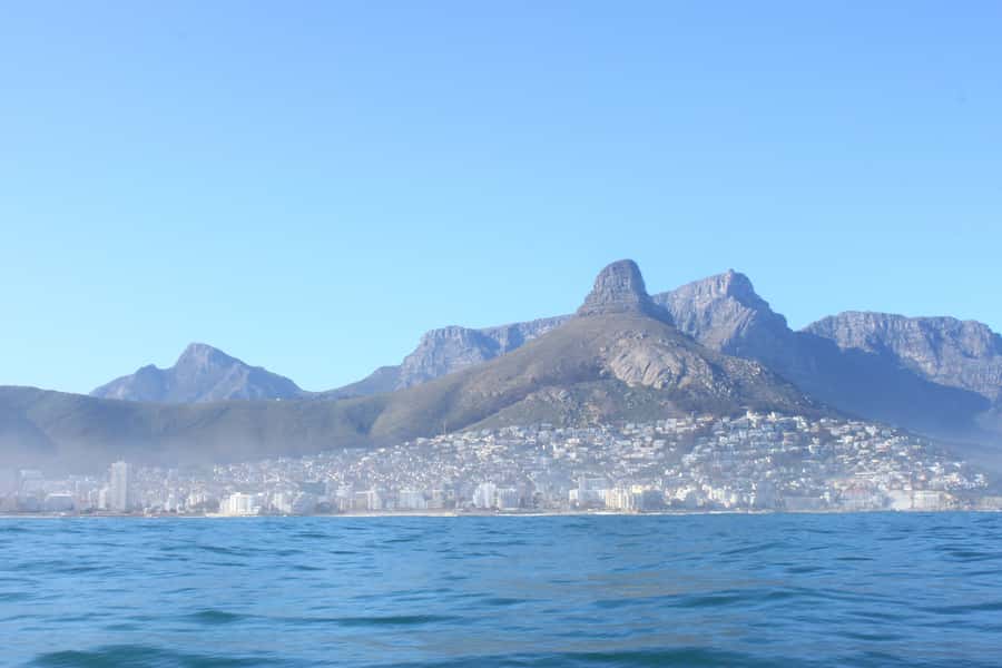 Cape Town: Marine Big 5 Ocean Safari from V&A Waterfront - What each possible sighting means for your experience