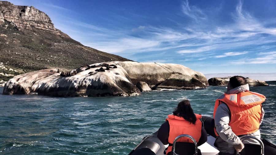 Cape Town: Marine Big 5 Ocean Safari from V&A Waterfront - The boat ride, comfort, and sea conditions
