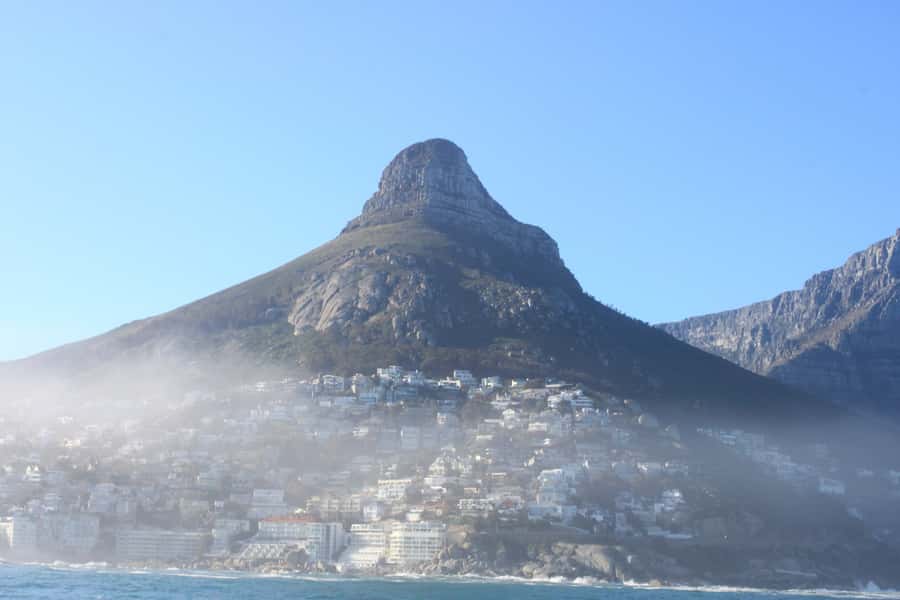 Cape Town: Marine Big 5 Ocean Safari from V&A Waterfront - The first stretch: harbor views and fresh ocean air