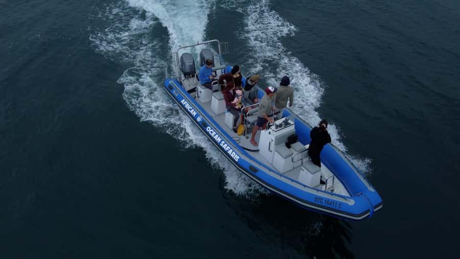 Cape Town: Marine Biologist Led Safari Tour - V&A Waterfront - Leaving the Marina Swing Bridge
