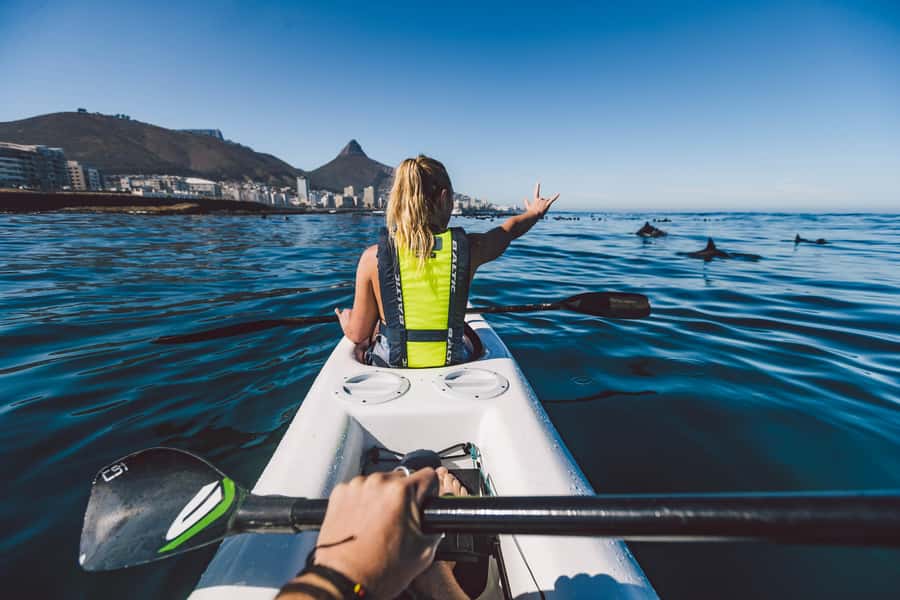 Cape Town: Marine Life Kayak Tour From the V&A Waterfront - How hard is the kayaking?