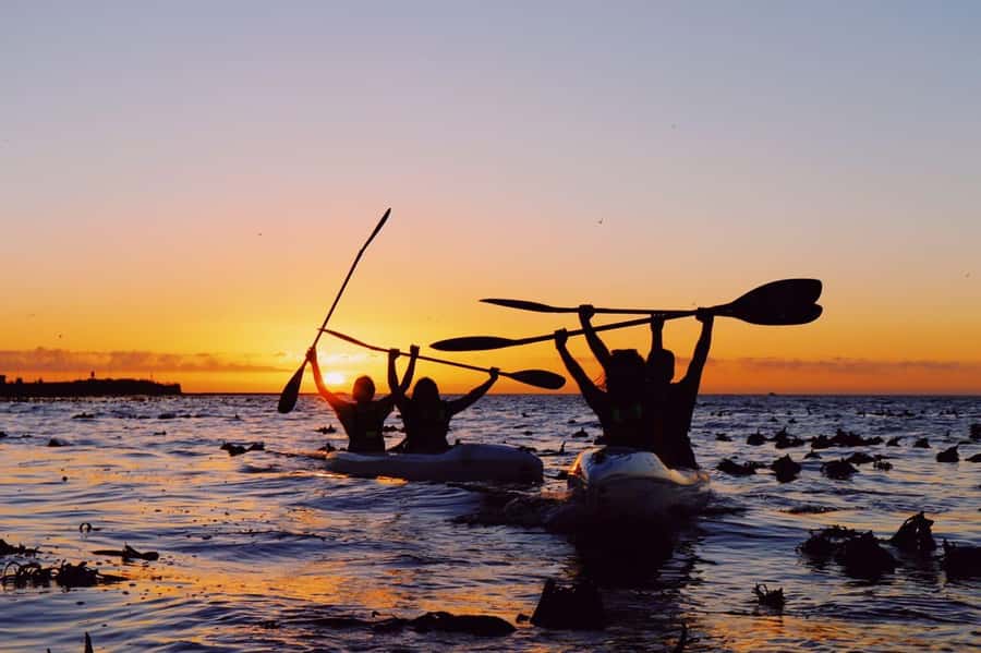 Cape Town: Marine Life Kayak Tour From the V&A Waterfront - What to wear and pack