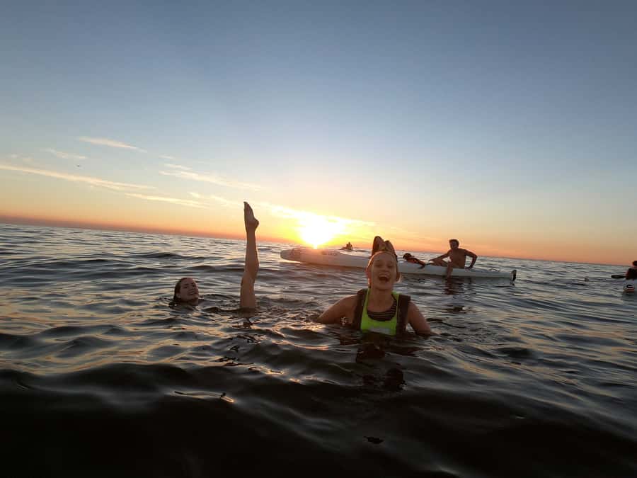 Cape Town: Marine Life Kayak Tour From the V&A Waterfront - Is the $37 price good value?