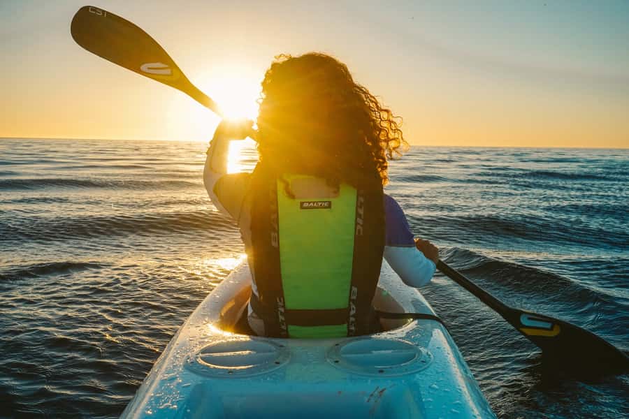 Cape Town: Marine Life Kayak Tour From the V&A Waterfront - Who should book this Cape Town kayak tour?