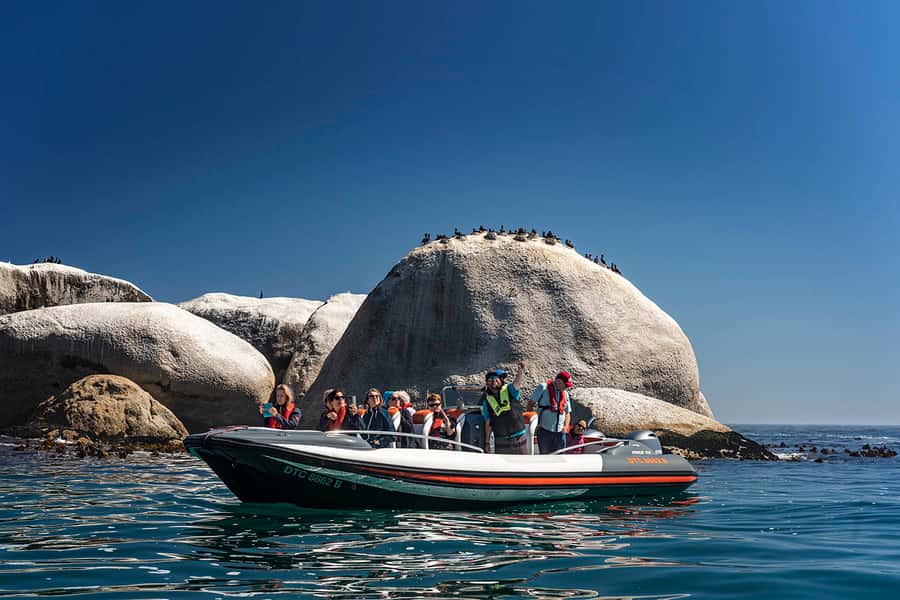 Cape Town: Marine Wildlife Tour from the V&A Waterfront - Starting beside the V&A Waterfront