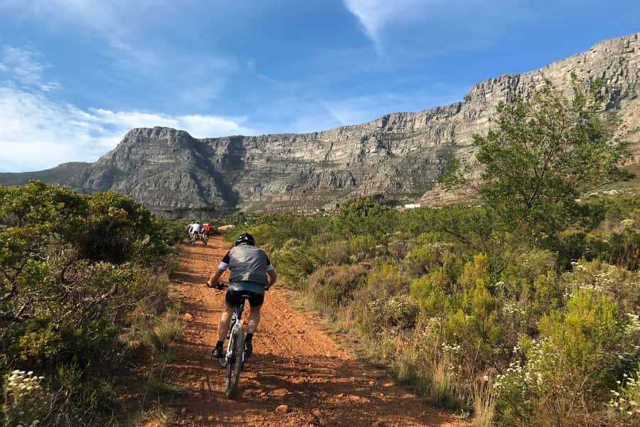 Cape Town: Mountain Biking Trip along Table Mountain - Key things to know before you ride