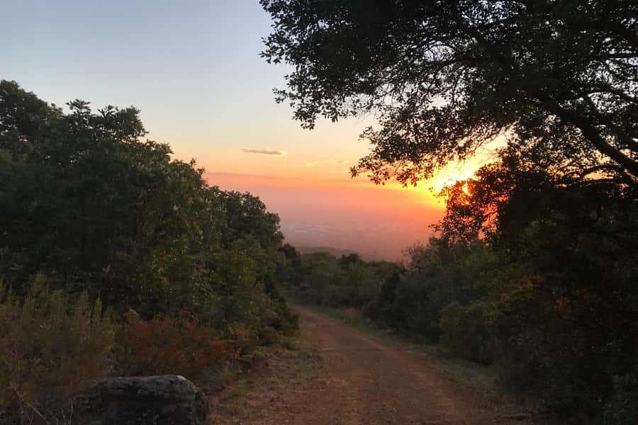 Cape Town: Mountain Biking Trip along Table Mountain - Kirstenbosch adds gardens and forest tracks