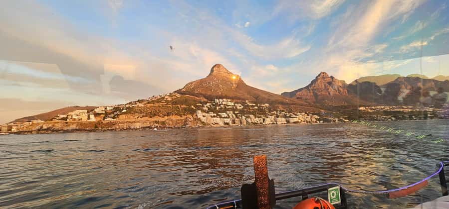 Cape Town: Ocean Safari 1 Hour - Key points to know before you book