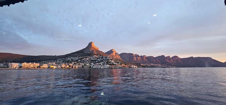 Cape Town: Ocean Safari 1 Hour - Booking, cancellation, and simple planning advice