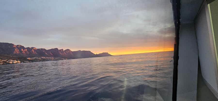 Cape Town: Ocean Safari 1 Hour - Seasonal whale sightings and other marine life
