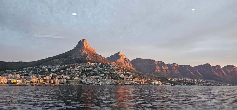 Cape Town: Ocean Safari 1 Hour - What the guide adds to a short boat ride