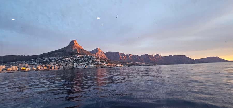 Cape Town: Ocean Safari 1 Hour - Is $62 a fair price for one hour?