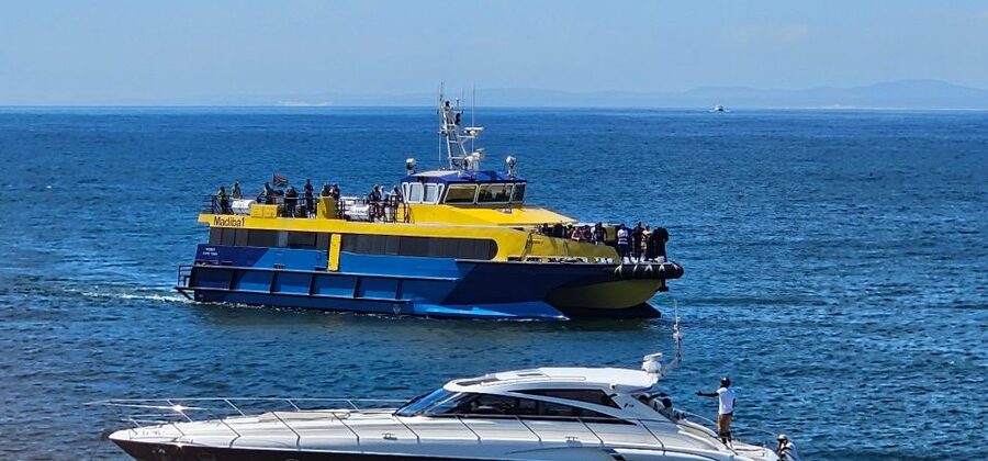 Cape Town: Ocean Safari 1 Hour - Who will enjoy this Cape Town ocean safari?
