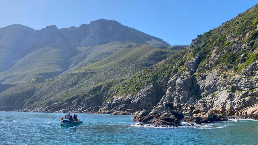Cape Town: Ocean Safari in Hout Bay - Hot chocolate, biscuits, and a proper warm-up