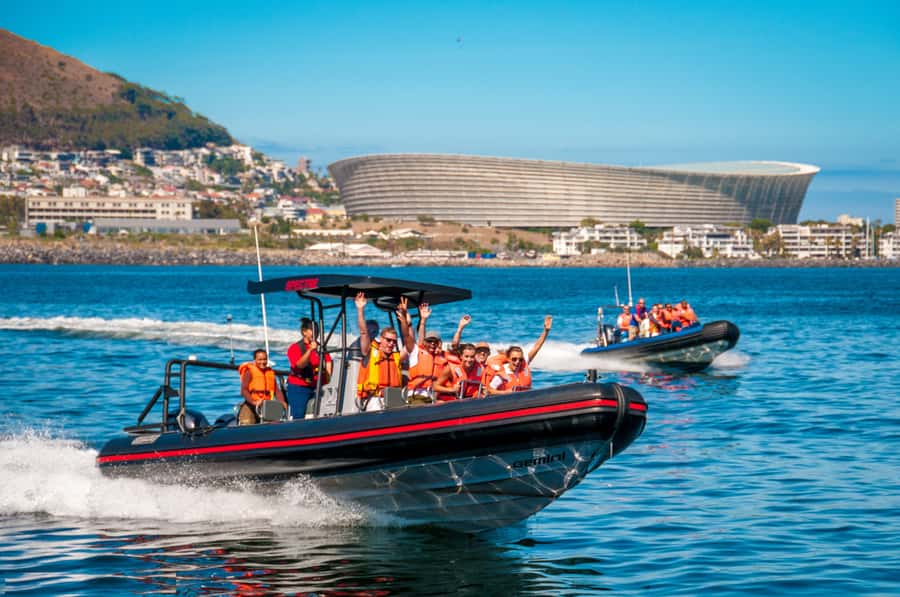 Cape Town Ocean Safari: Speed Boat Adventure in Table Bay - Key points to know before you go