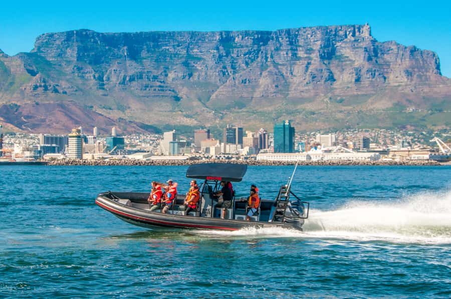 Cape Town Ocean Safari: Speed Boat Adventure in Table Bay - Starting at Quay 5 in the V&A Waterfront