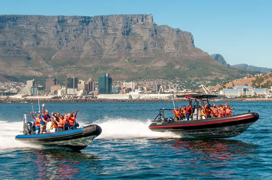 Cape Town Ocean Safari: Speed Boat Adventure in Table Bay - Slowing down to search Table Bay