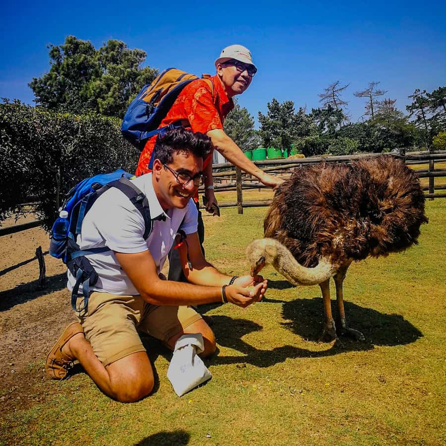 CAPE TOWN: OSTRICH RANCH QUAD BIKE RIDE & OSTRICH TOUR - Key points to know before you book