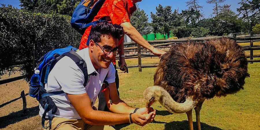 CAPE TOWN: OSTRICH RANCH QUAD BIKE RIDE & OSTRICH TOUR - Should you book the Cape Town Ostrich Ranch tour?