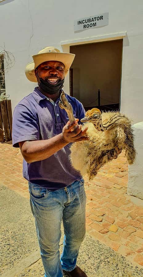 CAPE TOWN: OSTRICH RANCH QUAD BIKE RIDE & OSTRICH TOUR - The setting is part of the value