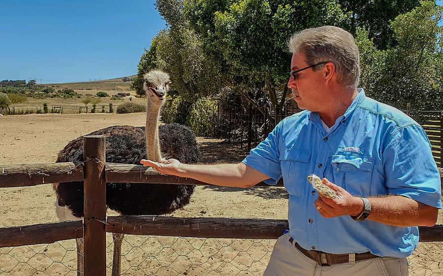 CAPE TOWN: OSTRICH RANCH QUAD BIKE RIDE & OSTRICH TOUR - Who should book this experience?