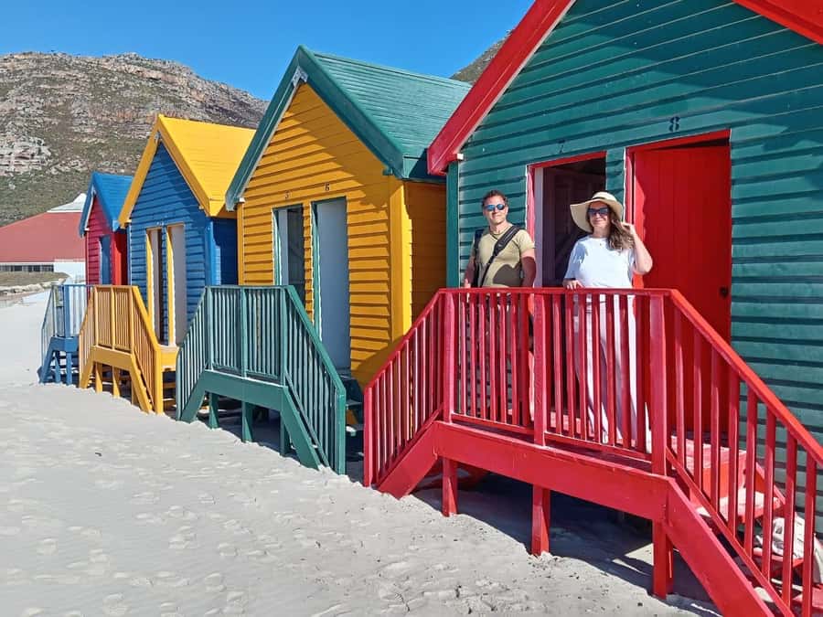 Cape Town: Penguin Watching at Boulders Beach Half Day Tour - Who should book this Boulders Beach outing?