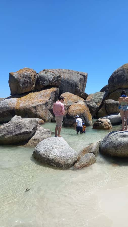 Cape Town: Penguin Watching at Boulders Beach Half Day Tour - Maiden’s Cove gives you the first big view