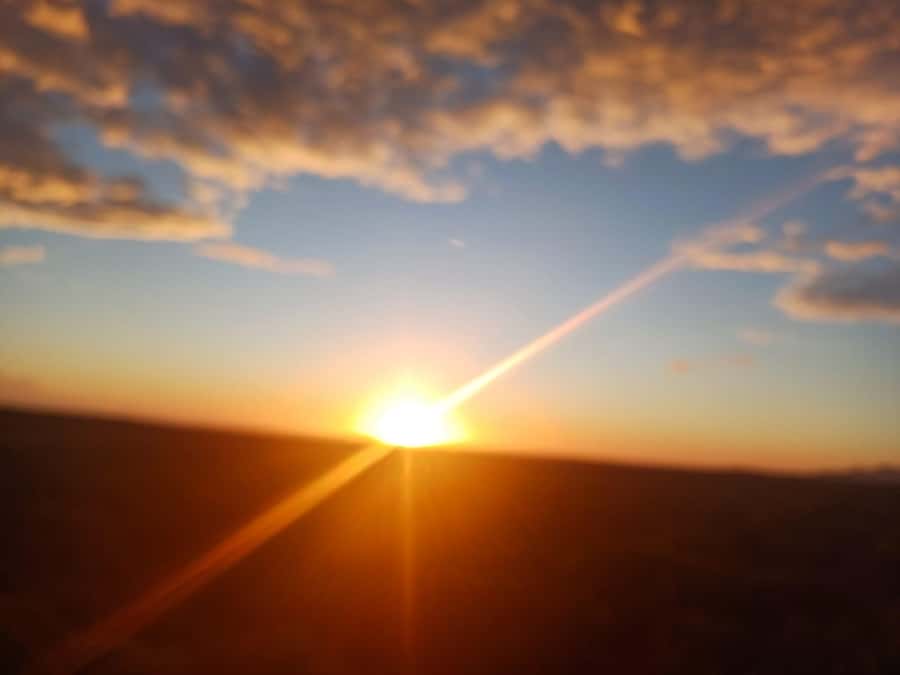 Cape Town: Penguins and Cape of Good Hope Sunset Tour - The quick take