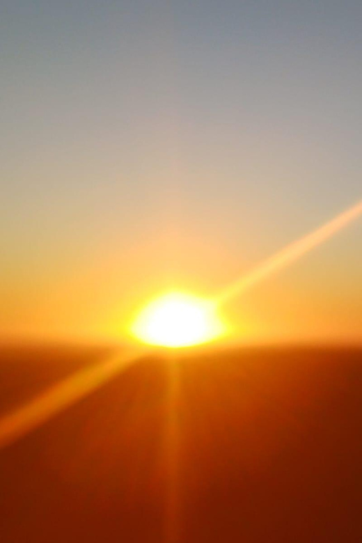 Cape Town: Penguins and Cape of Good Hope Sunset Tour - Signal Hill at sunset