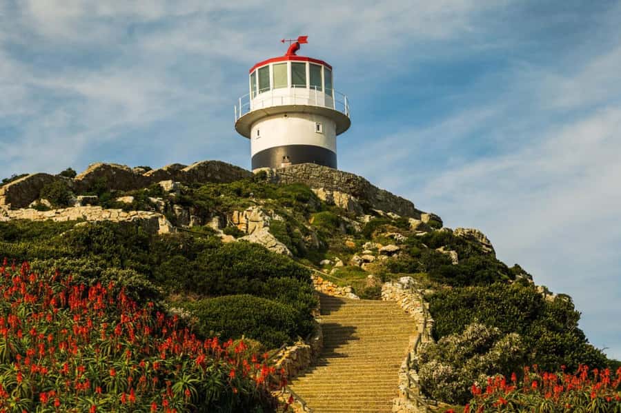 Cape Town: Penguins & Cape of Good Hope Day Tour with Pickup - Boulders Beach and the African penguins