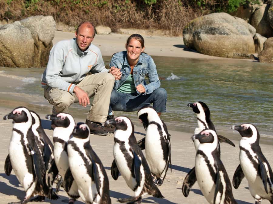 Cape Town: Penguins & Cape of Good Hope Half Day Shared Tour - Why this half-day route works so well