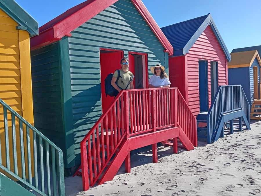 Cape Town: Penguins & Cape of Good Hope Half-Day Tour - Cape of Good Hope: cliffs, fynbos, and open space