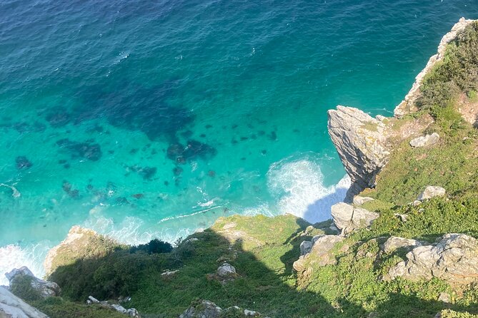 Cape Town: Peninsula, Cape of Good Hope and Penguins Tour - Boulders Beach: African Penguins From the Boardwalk