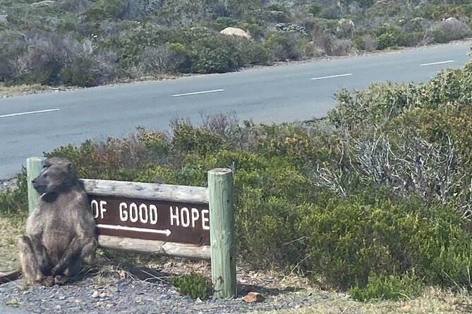 Cape Town: Peninsula, Cape of Good Hope and Penguins Tour - Cape Point Nature Reserve: Two Hours at the Peninsula’s Edge