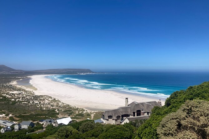 Cape Town: Peninsula, Cape of Good Hope and Penguins Tour - What the Private Vehicle Adds to the Day