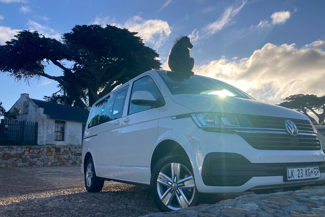 Cape Town: Peninsula, Cape of Good Hope and Penguins Tour - The Guide’s Personal Touch
