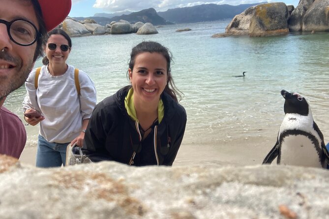 Cape Town: Peninsula, Cape of Good Hope and Penguins Tour - Who Should Book This Cape Peninsula Tour?